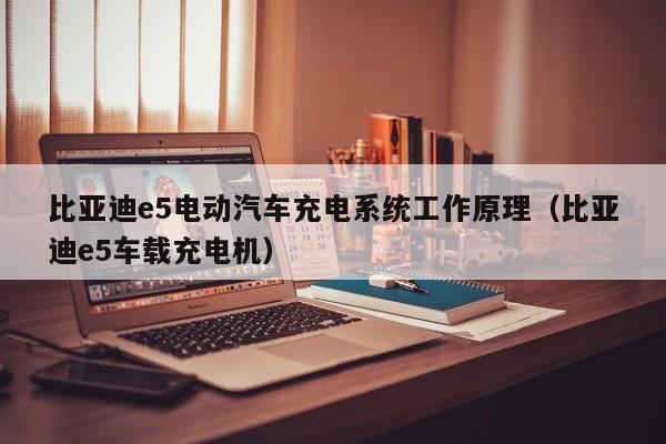 比亚迪e5电动汽车充电系统工作原理（比亚迪e5车载充电机）