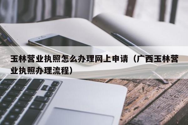 玉林营业执照怎么办理网上申请（广西玉林营业执照办理流程）