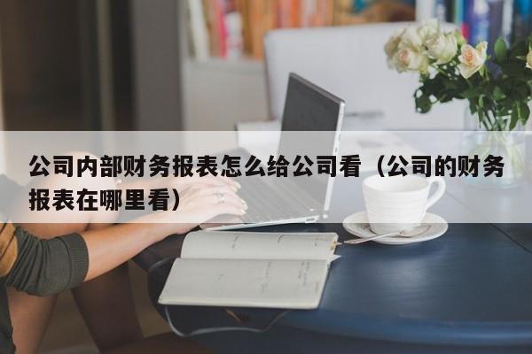 公司内部财务报表怎么给公司看（公司的财务报表在哪里看）