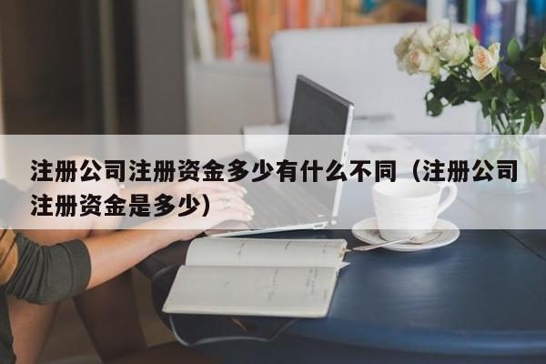 注册公司注册资金多少有什么不同（注册公司注册资金是多少）