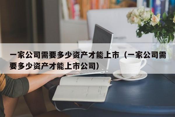 一家公司需要多少资产才能上市（一家公司需要多少资产才能上市公司）