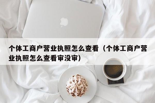 个体工商户营业执照怎么查看（个体工商户营业执照怎么查看审没审）