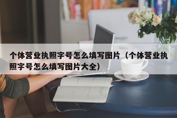 个体营业执照字号怎么填写图片（个体营业执照字号怎么填写图片大全）